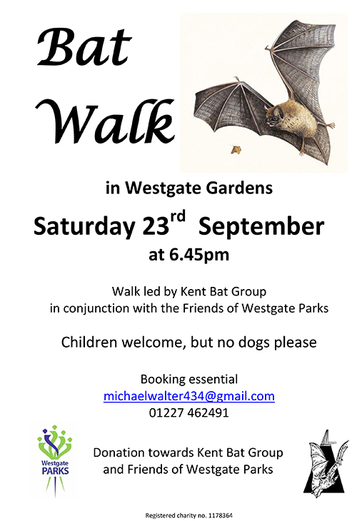 Bat Walk poster